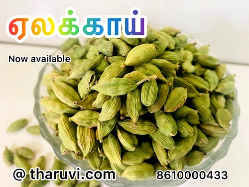 7mm Munnar Premium Cardamom | Elakkai