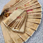 Meena work saree