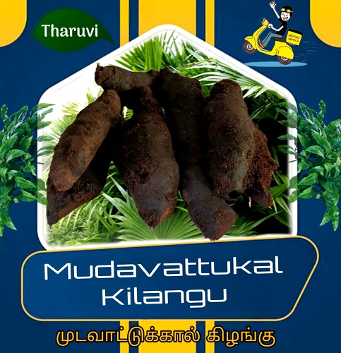 MUDAVATTUKKAL KILANGU