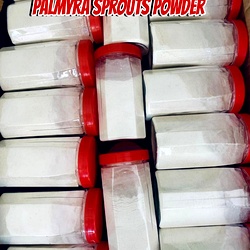 Palmyra Sprouts Powder Wholesale