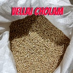 White Corn | Vellai Cholam Wholesale