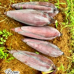 Nendran Valai Poo, Fresh Banana Flower