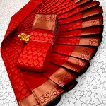 Elite Bridal silk Sarees