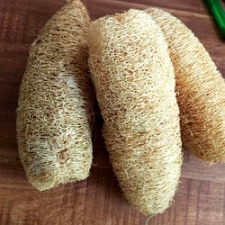 Natural Loofah Body Scrubber