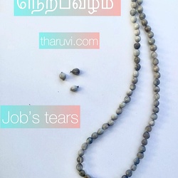 Nerpavalam Maalai, Jobs tears, adlay grains, Vaijeyanthi Seed Beads