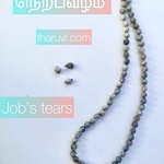 Nerpavalam Maalai, Jobs tears, adlay grains, Vaijeyanthi Seed Beads