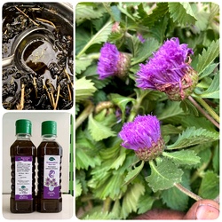 Tharuvi Farm Kesavarthini Hair Oil