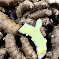 Fresh Organic Mango Ginger (Maa Inji / Aam Haldi) | Buy Online