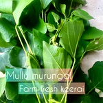 Kalyana Murungai Keerai,Mullu Murungai leaves Keerai