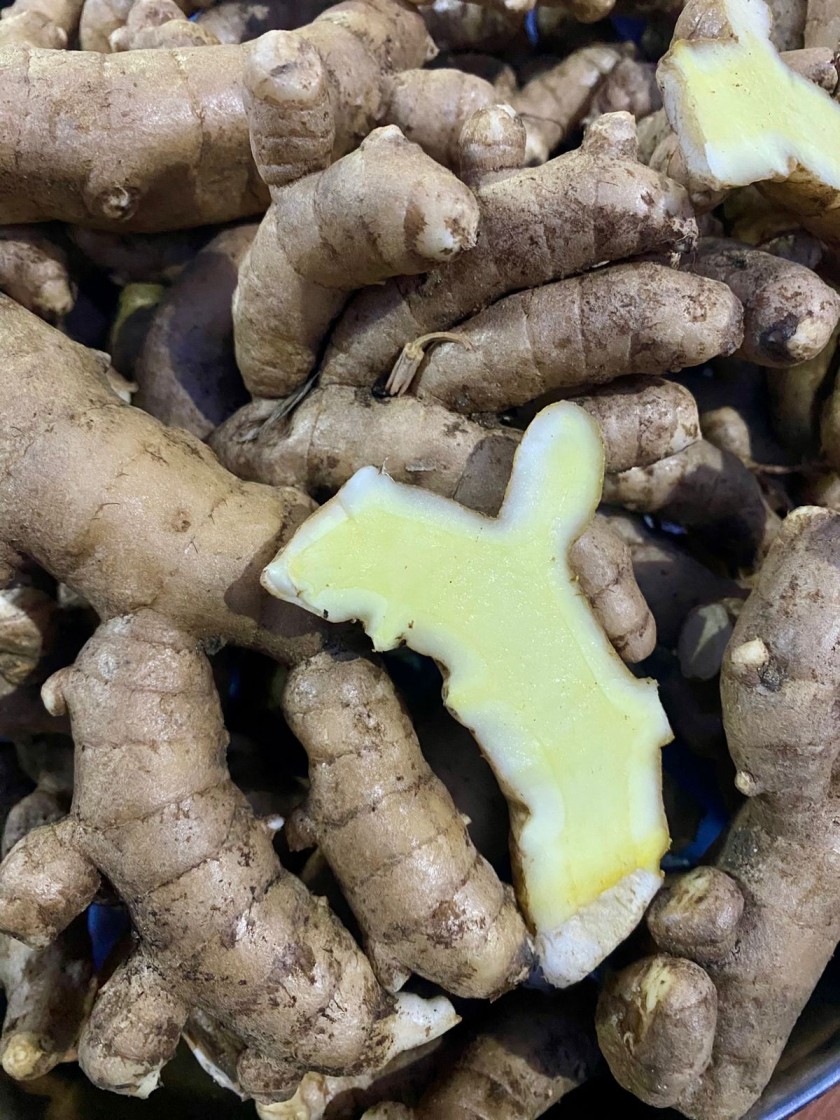 Fresh Organic Mango Ginger (Maa Inji / Aam Haldi) | Buy Online